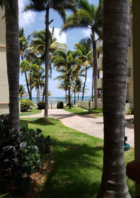 1St Level Unit Steps To Beach- Cold Air Conditioner At Poza Del Mar 卢基约 外观 照片